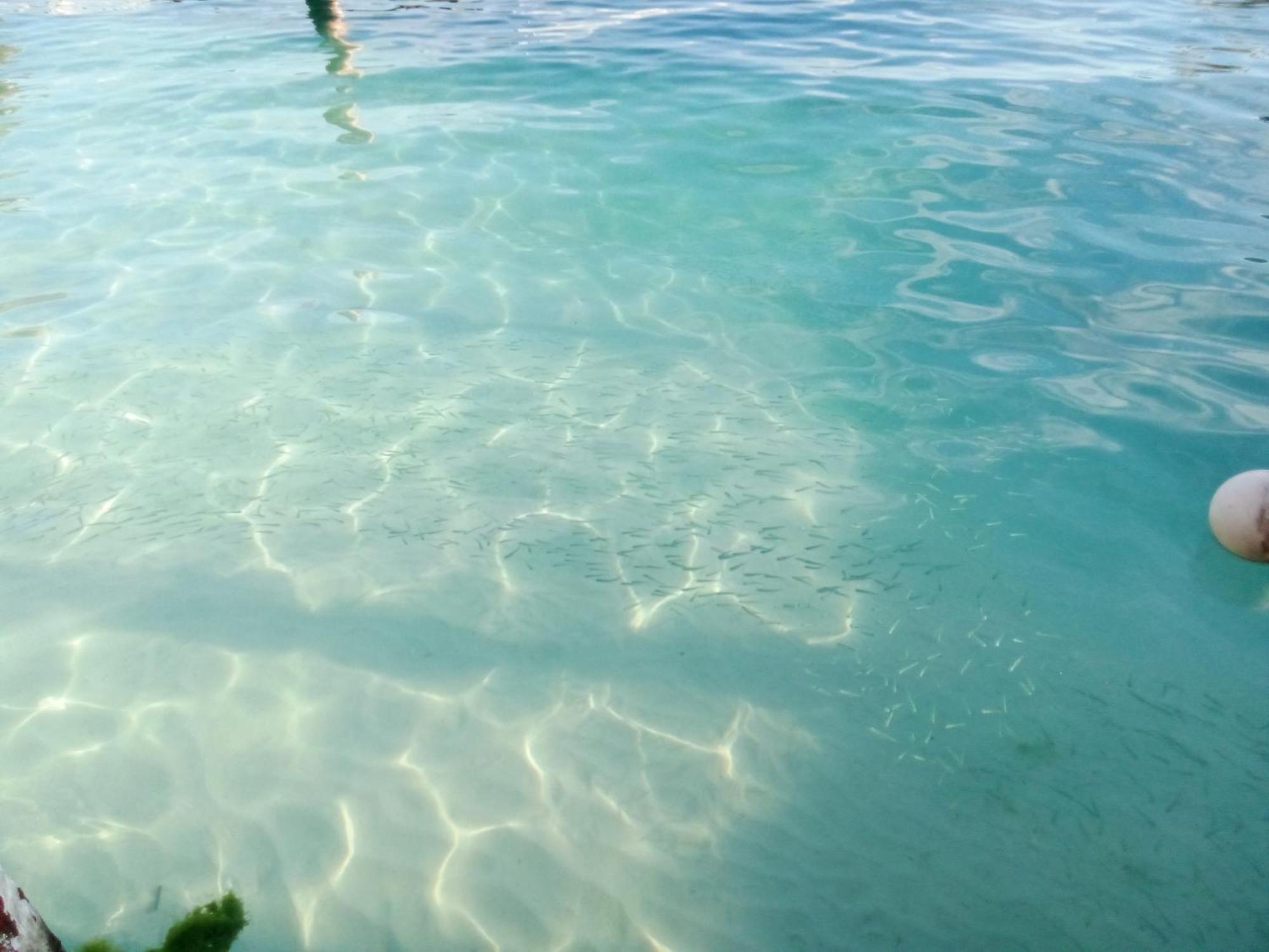 Hidden Island Glamping Isla Mujeres Hotel Екстериор снимка